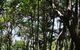 Yuibera Yuwi Trail - thumb 0